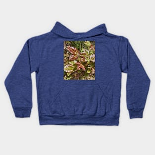 Leaves of Three Leave Them Be Kids Hoodie